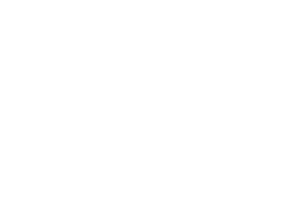 Shadylady